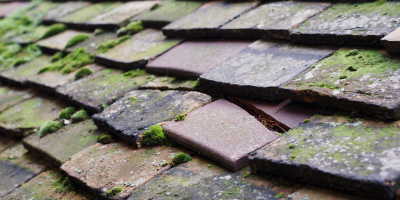 Iet Y Bwlch roof repair costs